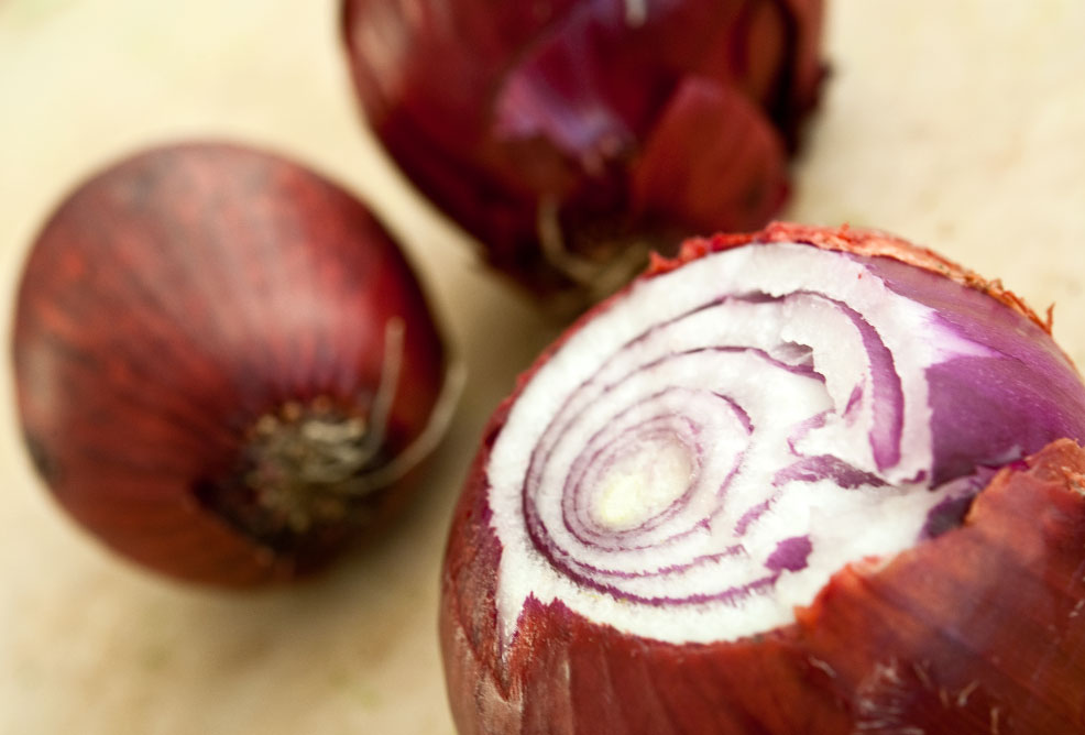 alimentospeligrososmascotas El Digital de Asturias