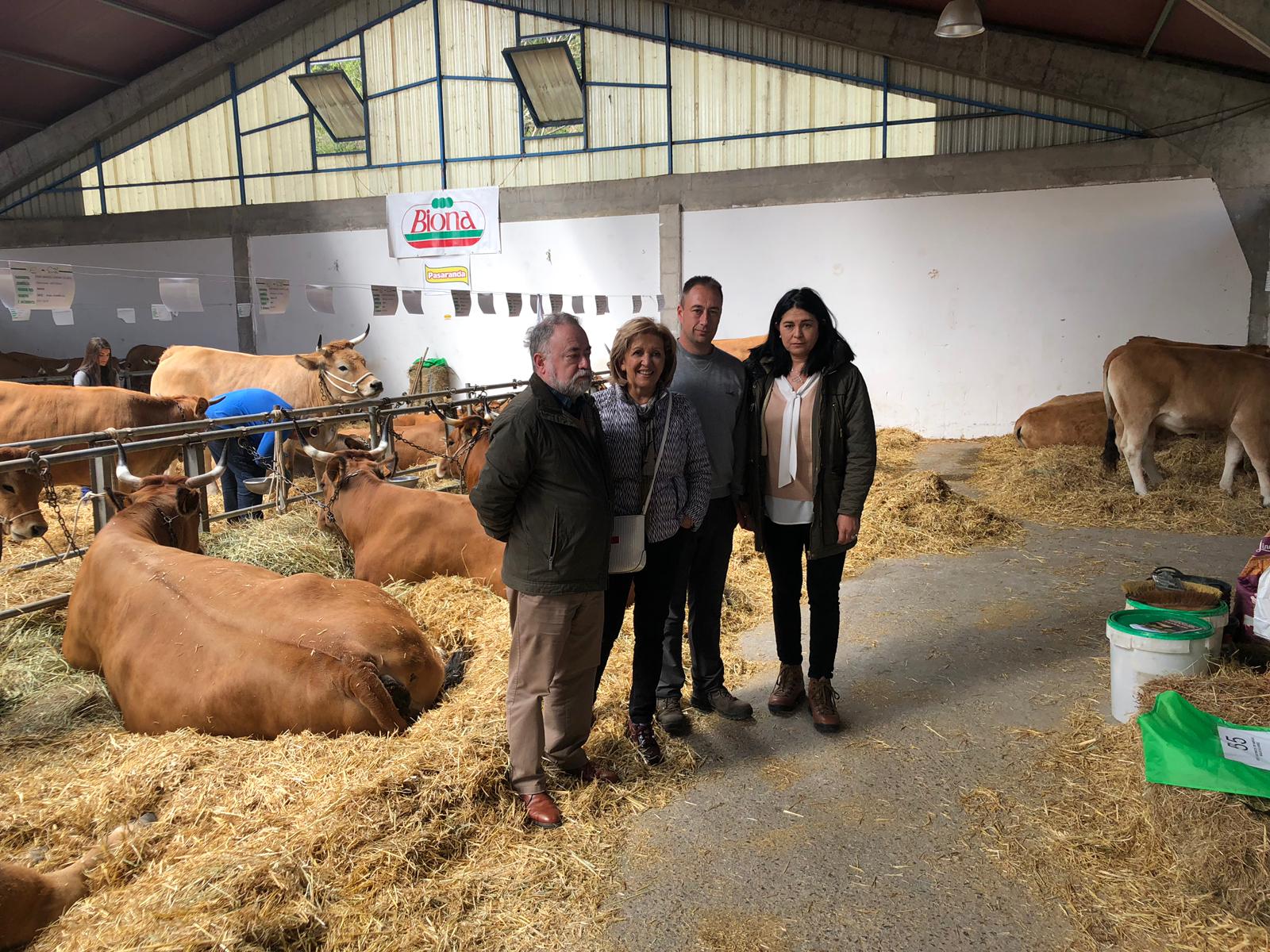 camino gutiérrez en cangas del narcea El Digital de Asturias