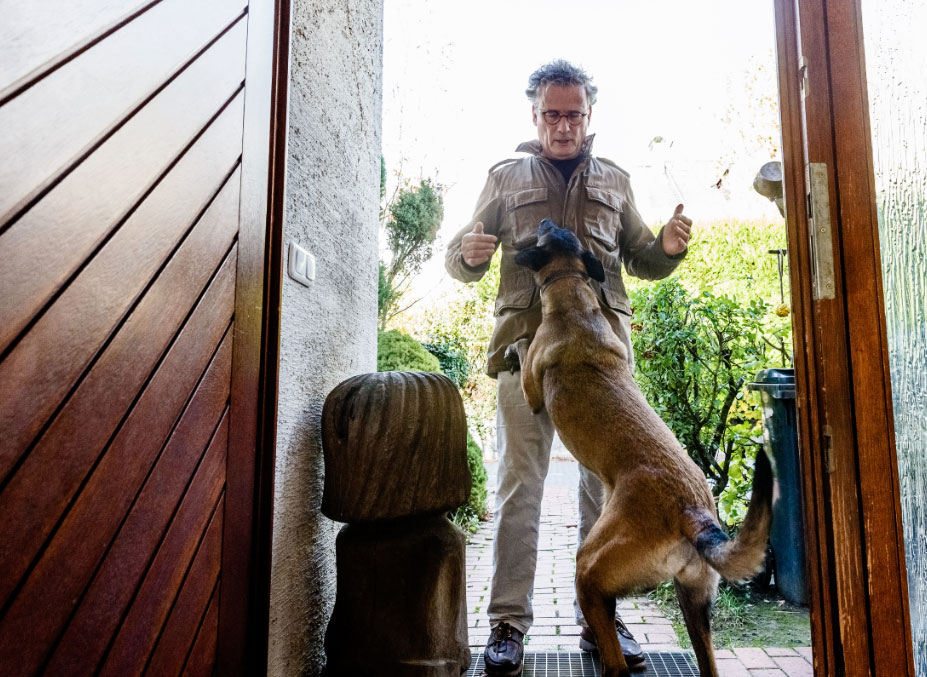 mascotasconsejos641901 El Digital de Asturias