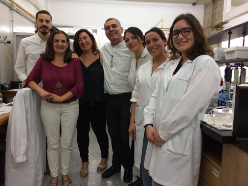 Inicianelensayodeunfarmacoparalarecuperacionneuronaltrasunalesioncerebralimage380 El Digital de Asturias