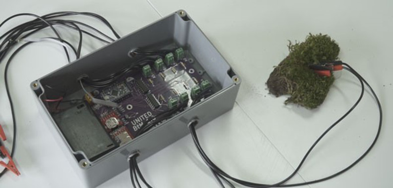 Undispositivoparamedirlaactividaddemusgosyliquenesimage380 El Digital de Asturias