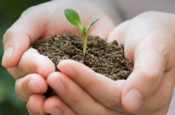 Una empresa que piensa en el planeta