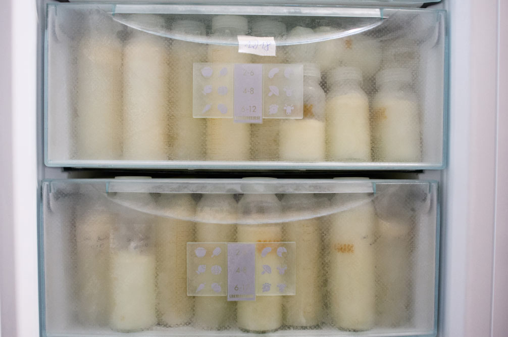 lechematerna El Digital de Asturias