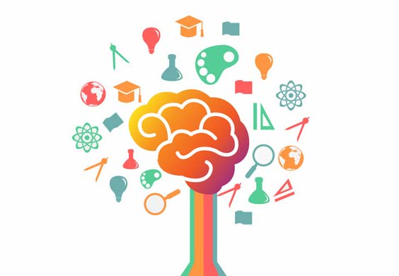 Plataforma de marketing digital online