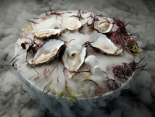 Eneko Atxa lanza Eneko WEP