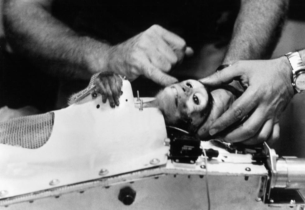 MissAble El Digital de Asturias