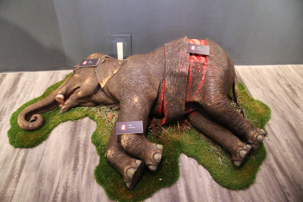 MuseodelElefanteenMyanmar El Digital de Asturias