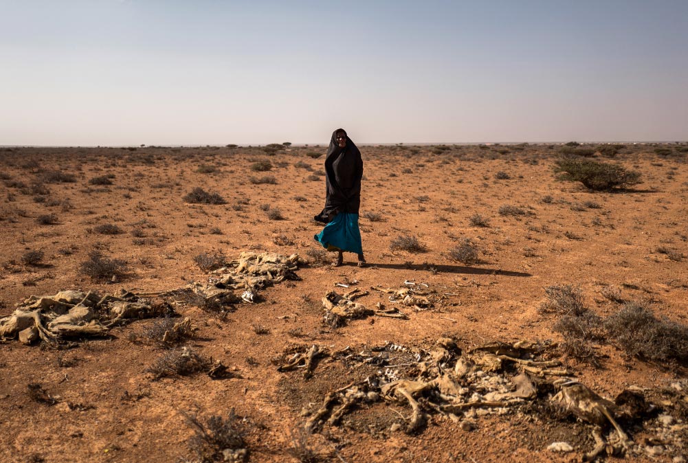 efectoscambioclima El Digital de Asturias