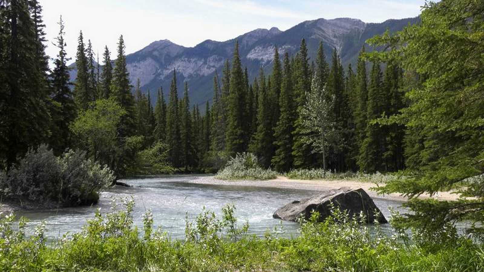 ndp tele 4061904 El Digital de Asturias