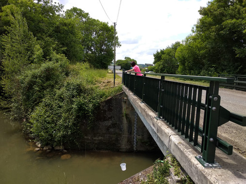 Detectadosseisgruposdeantibioticosenriosespanolesyfrancesesimage380 El Digital de Asturias
