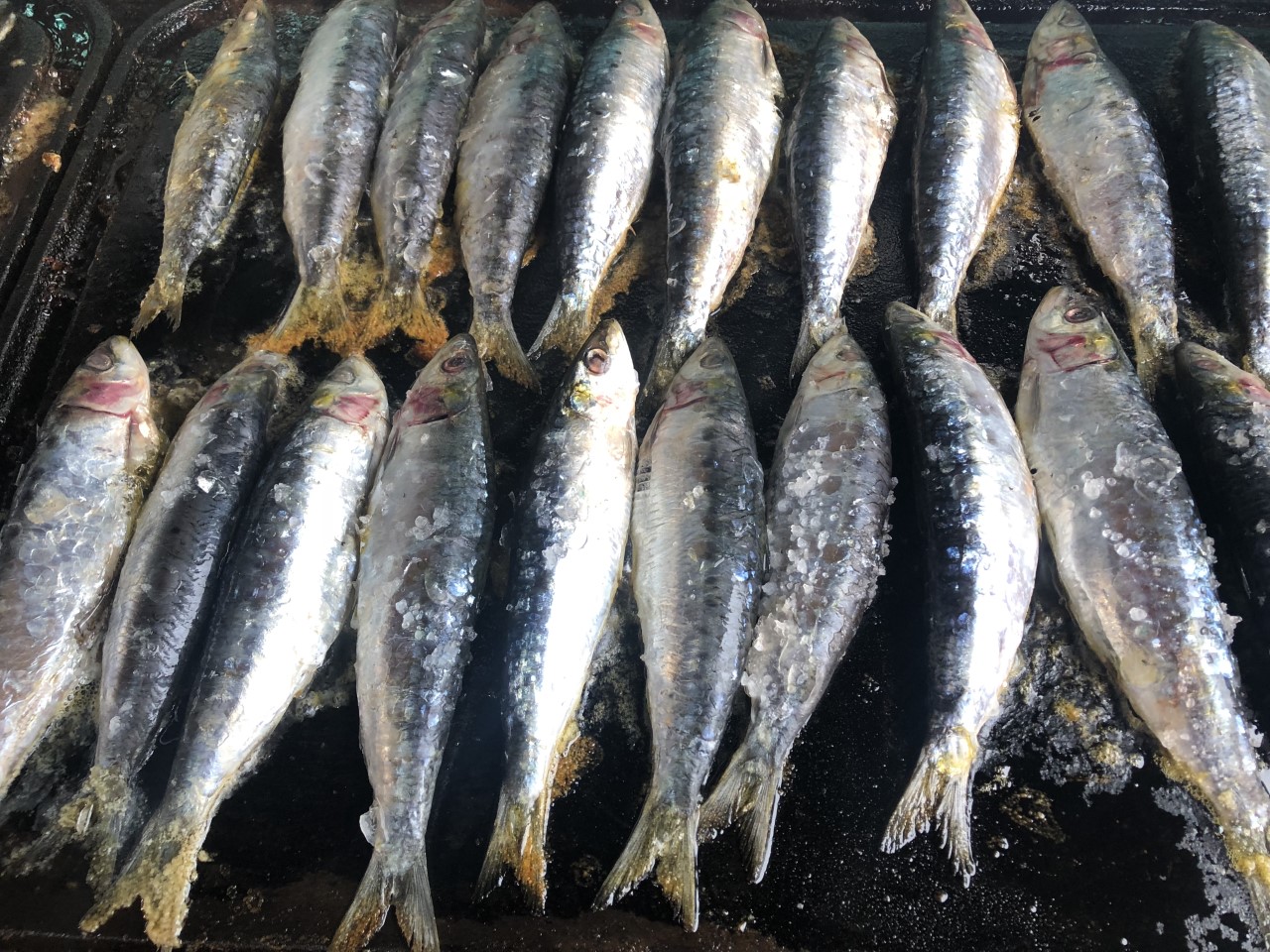 Sardinas Candas El Digital de Asturias Festival Sardina 2019 Candás