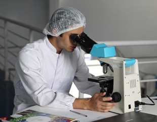 Destinados 361 millones para cerca de 3.000 proyectos de I+D