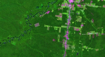 Amazonasdeforestacion El Digital de Asturias
