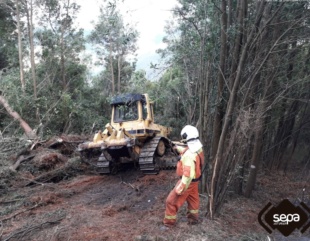 FOTOSEPAINCENDIOLAVEGA El Digital de Asturias Incendio forestal de La Vega