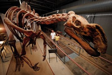 FlindersDiscoveryCentredpa  El Digital de Asturias