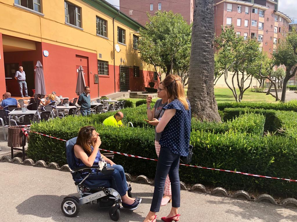 Plagas Oviedo El Digital de Asturias