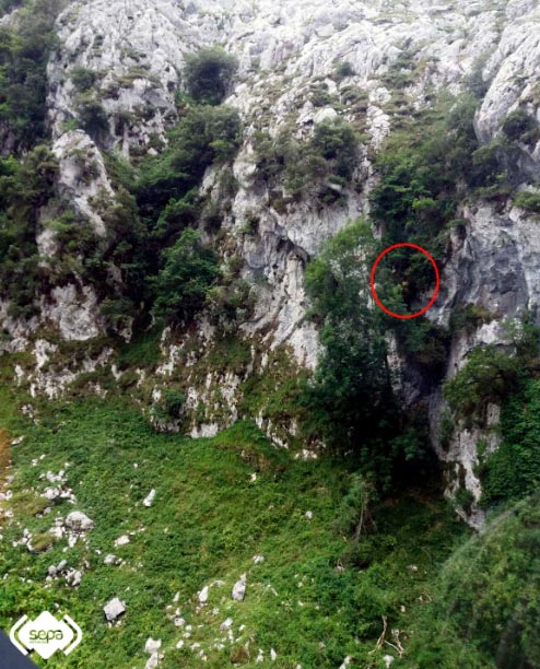 RESCATECARES El Digital de Asturias