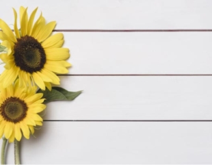 floresregalar  El Digital de Asturias