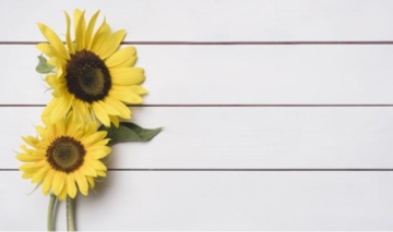 floresregalar  El Digital de Asturias