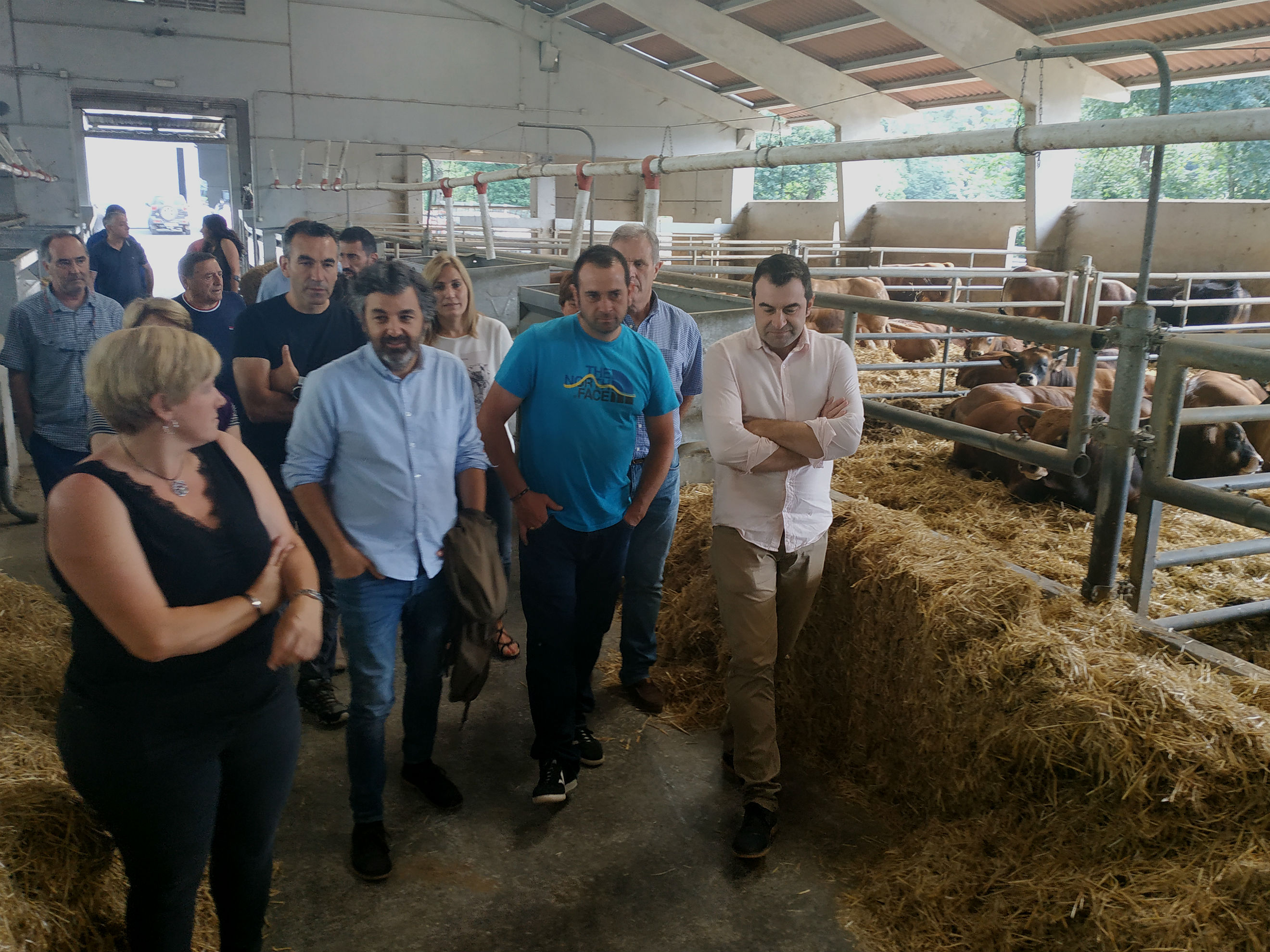 ganaderia Quiros 2  El Digital de Asturias