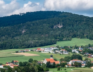 reforestacionAlemania El Digital de Asturias