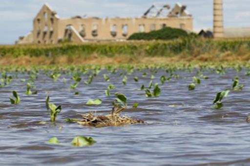 120919inundaciones1 El Digital de Asturias