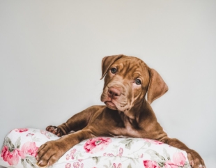 1567409623907 El Digital de Asturias