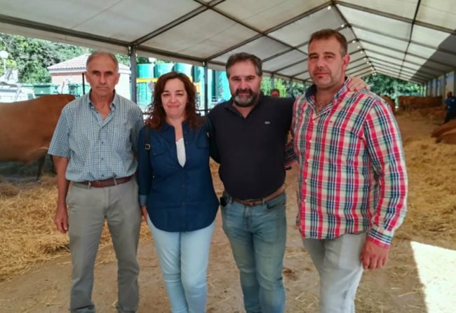 Concursoganado  El Digital de Asturias