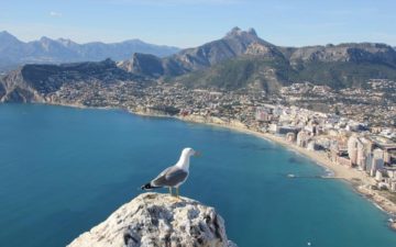 Alicantevivirciudad El Digital de Asturias