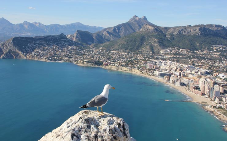 Alicantevivirciudad El Digital de Asturias