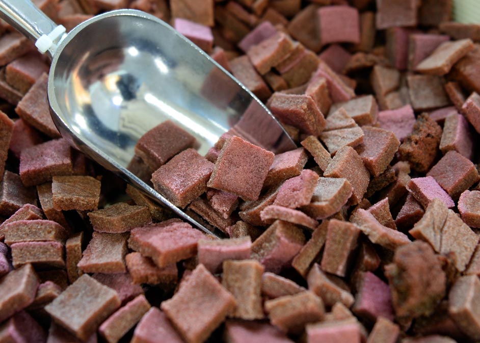 Alimentar al perro con carne cruda puede ser peligroso