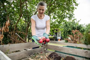 composthogar El Digital de Asturias