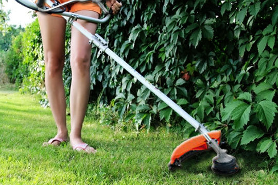 jardin hogar El Digital de Asturias