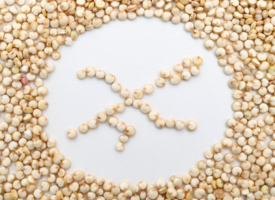 saludymarketing El Digital de Asturias