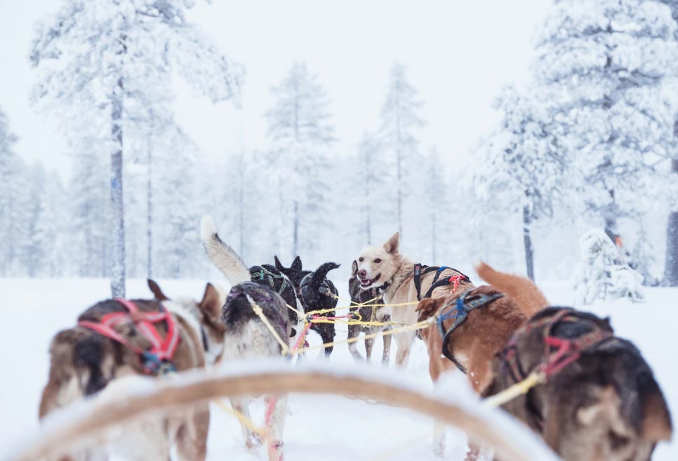 zonadeesquisuecaSale El Digital de Asturias
