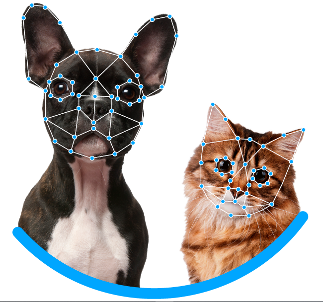 Reconocimiento facial para recuperar a mascotas perdidas