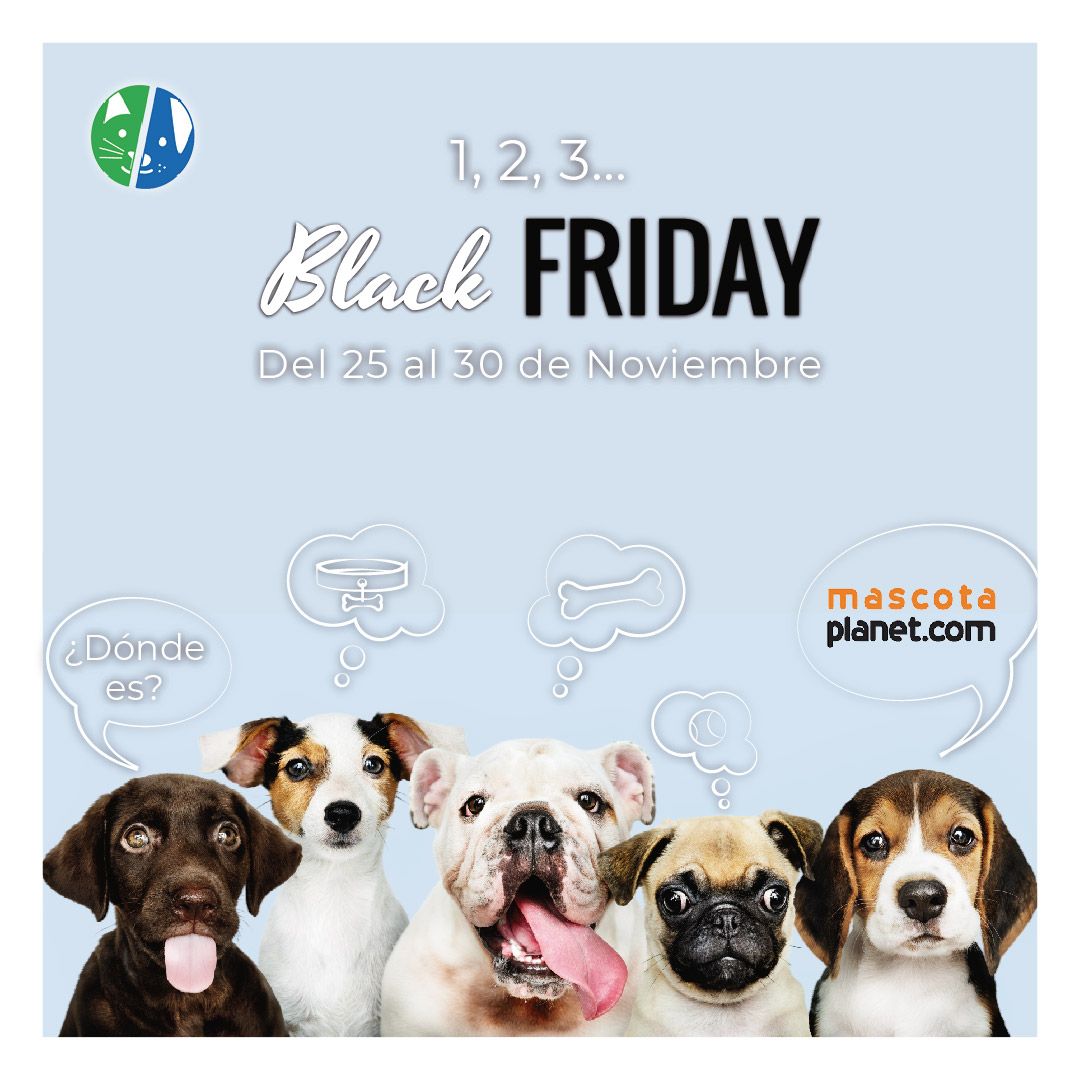 Ahorrar al máximo y aprovechar el BLACK FRIDAY de Mascota Planet