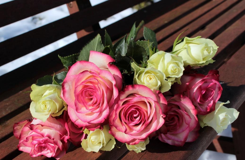 regalarrosas El Digital de Asturias