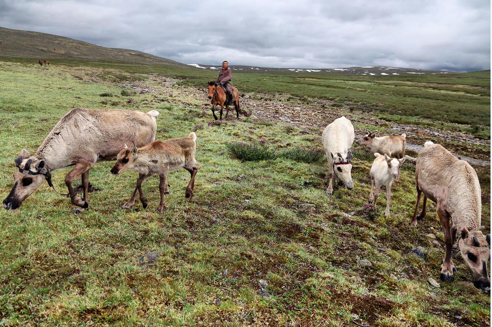renosmongolia El Digital de Asturias
