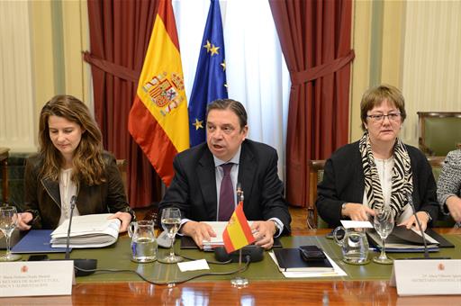 España rechaza la reducción del 50% de la cuota del jurel del sur