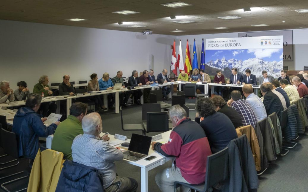 PresupuestoPicos2020 El Digital de Asturias