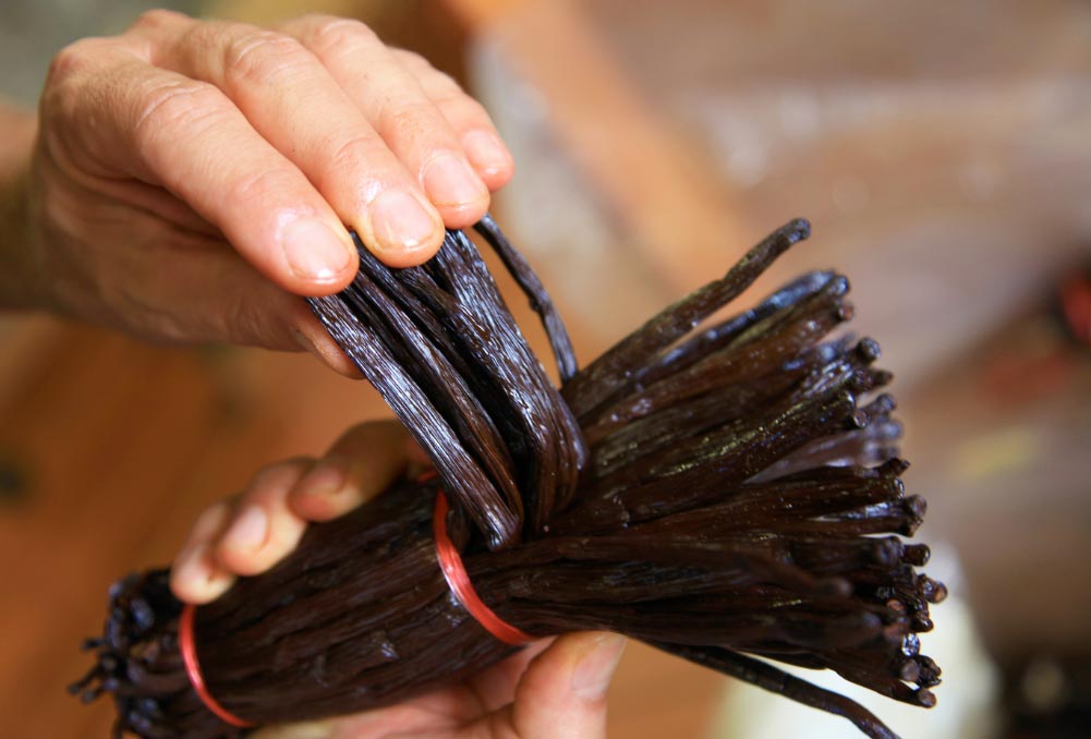 Vainilla El Digital de Asturias