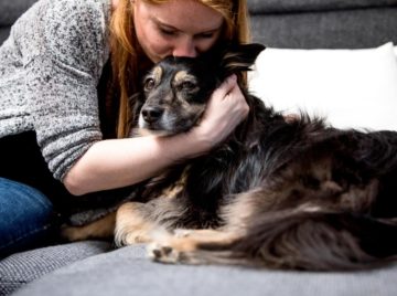 cariciasmascotasdpa El Digital de Asturias