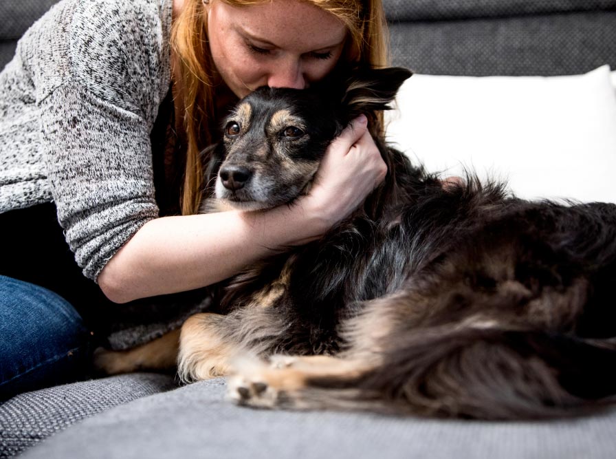 cariciasmascotasdpa El Digital de Asturias