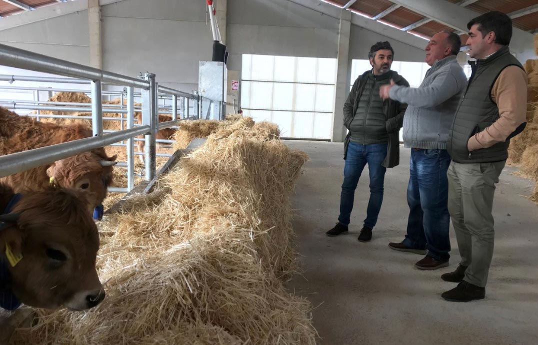 centrotestajeAseamo El Digital de Asturias