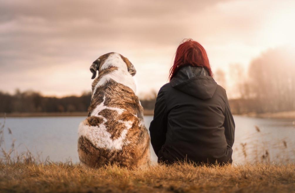 La mejor opción para cuidar tus mascotas cuando estás fuera de casa