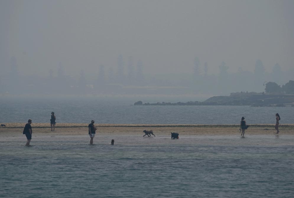 Melbournedpa  El Digital de Asturias