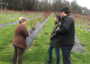 ndp2056150120 El Digital de Asturias