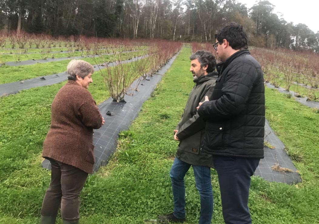 ndp2056150120 El Digital de Asturias
