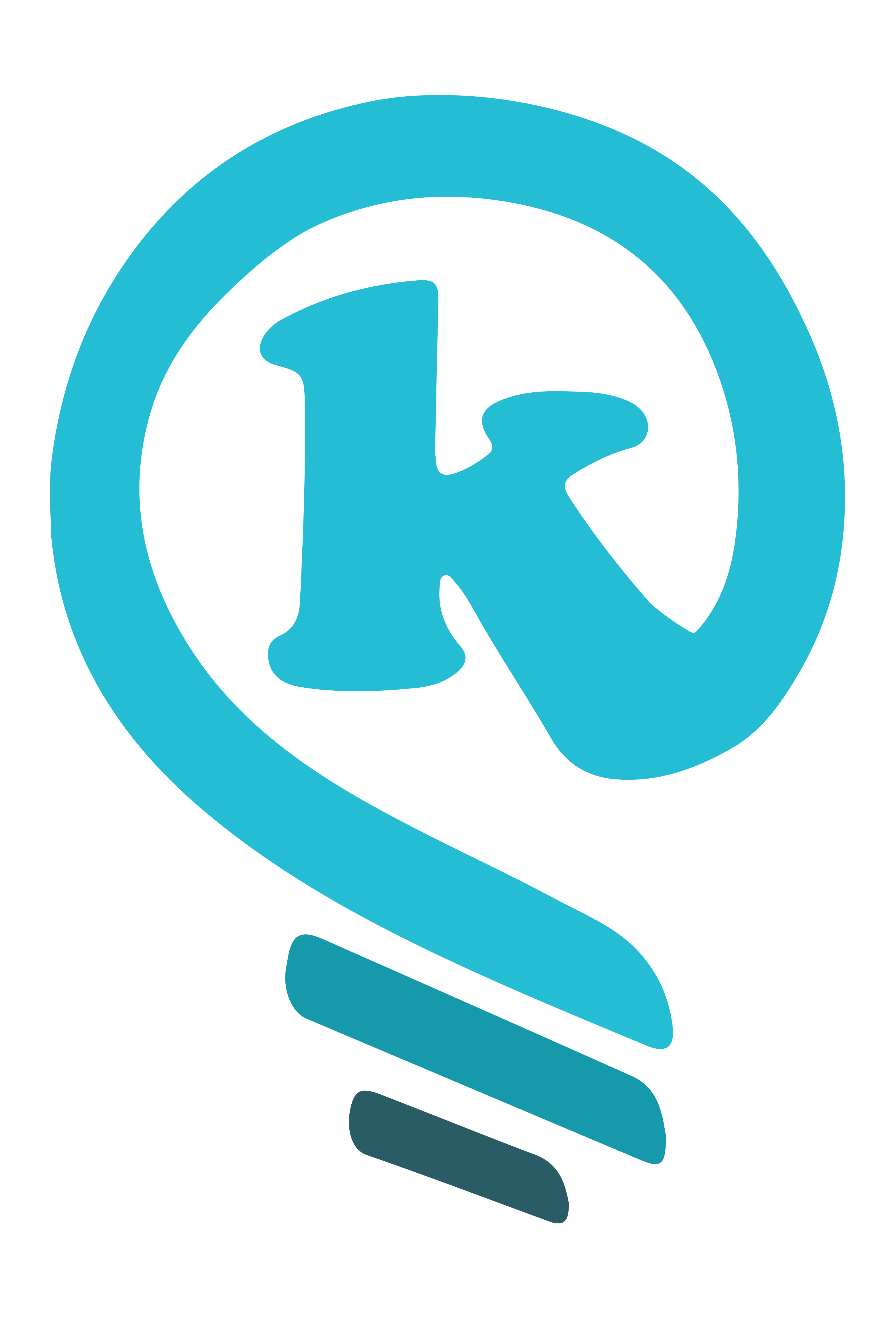 1582628727logokKipinRGB01 El Digital de Asturias